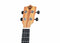 Twisted Wood EM-600T Ember Tenor Ukulele Solid Mahogany w/ Gig Bag