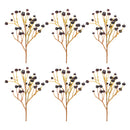 Melrose Blue Berry Spray (Set of 6)