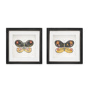 Melrose Framed Butterfly Block Wall Decor, Modern, Wood