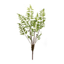Melrose Varigated Fern Bundle with Sprout Accents (Set of 6)