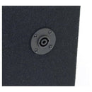 DEEJAY LED D10T3VYCARBON 2x10" Woofer 3xTweeter Speaker Enclosure – Carbon Texture