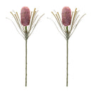 Melrose Protea Floral Stem (Set of 2)