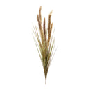 Melrose Foxtail Grass Bush (Set of 6)