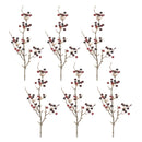 Melrose Berry Pod Spray (Set of 6)