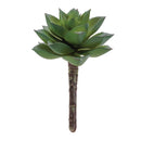 Melrose Succulent Plant Pick (Set of 12)