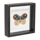 Melrose Framed Butterfly Block Wall Decor, Modern, Wood