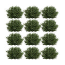 Melrose Spring Grass Half Orb (Set of 12)