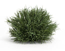 Melrose Spring Grass Half Orb (Set of 12)