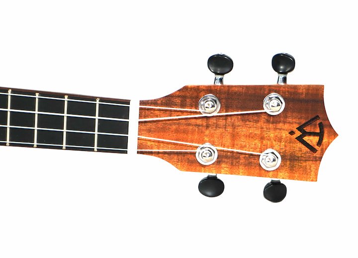Twisted Wood SE-900T Sierra Tenor Ukulele Cedar Top Koa B&S w/ Gig Bag