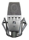 sE Electronics T2 Titanium Large Diaphragm Mic SE-T2-U