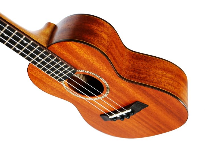 Twisted Wood Rock Roots Series Concert Ukulele - Solid Mahogany - RR‑200C