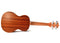 Twisted Wood PI-100T Pioneer Tenor Ukulele Laminate Sapele w/ Gig Bag
