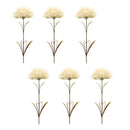 Melrose Puff Flower Stem (Set of 6)
