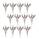 Melrose Seeded Harvest Bush (Set of 12)