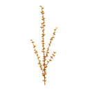 Melrose Ilex Berry Spray (Set of 2)