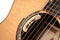 Cort ABSTRACTDELTA Masterpiece Abstract Delta Acoustic-Electric Guitar - Gloss