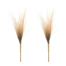 Melrose Grass Plume Bundle (Set of 2)