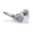 Melrose Feathered Bird Shelf Sitter (Set of 12)