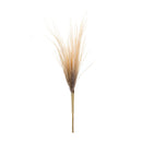 Melrose Grass Plume Bundle (Set of 2)