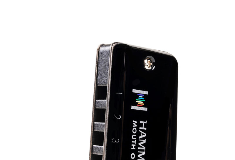 Suzuki Promaster Hammond 10 Hole Diatonic Harmonica Key F