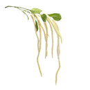 Melrose Amaranthus Floral Stem (Set of 4)