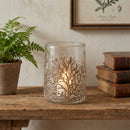 Melrose Dried Cedar Glass Candle Holder (Set of 3)