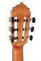 Caballero Europe 7/8 Classical Guitar Senorita - Cedar/Mahogany