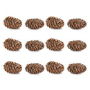 Melrose Pine Cone Decor (Set of 12)