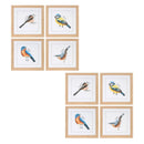 Melrose Framed Bird Print Under Glass Wall Decor, Wood