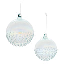 Melrose Iridescent Glass Ball Ornament (Set of 12)