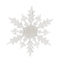 Frosted Snowflake Ornament (Set of 12)