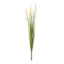 Melrose Foxtail Bush (Set of 6)
