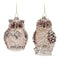 Frosted Glass Owl Ornament (Set of 12)