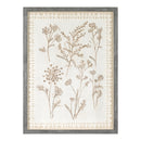 Melrose Framed Floral Wall Art Under Glass, Modern, Wood, Plastic