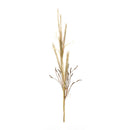 Melrose Foxtail Grass Spray (Set of 2)
