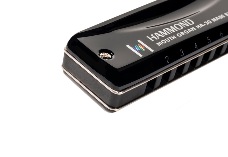Suzuki Promaster Hammond 10 Hole Diatonic Harmonica Key F