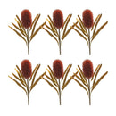 Melrose Burnt Orange Banksia Floral Stem (Set of 6)