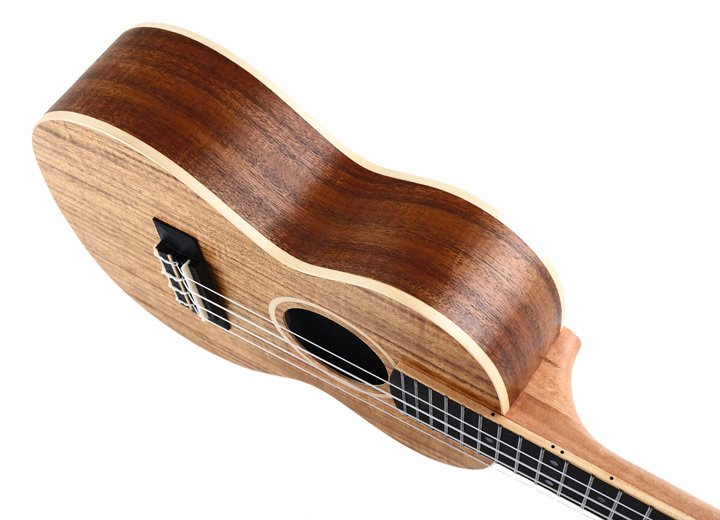 Twisted Wood AR-800S Aurora Soprano Ukulele Laminate Koa w/ Gig Bag