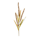 Melrose Seeded Plume Spray (Set of 12)