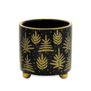 Melrose Footed Pine Tree Planter (Set of 2)