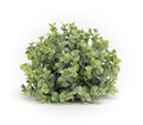Melrose Spring Boxwood Foliage Half Orb (Set of 6)