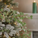 Melrose Frosted Silver Dollar Eucalyptus Spray (Set of 12)