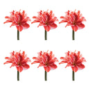 Melrose Amaryllis Flower Stem (Set of 6)