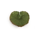 Melrose Assorted Bag of Leaves Filler (Set of 12)
