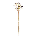 Melrose Blue Berry Spray (Set of 6)