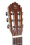 Caballero Europe Spanish Heel 4/4 Classical Guitar - Spruce/Mahogany