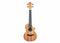 Twisted Wood EM-600C Ember Concert Ukulele Solid Mahogany w/ Gig Bag
