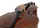 Gewa L'Apprenti VC1 4/4 Cello Antique Finish w/ Aurora Setup & Bag