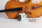Thomastik-Infeld Peter Infeld 4/4 Cello String Set – Medium Tension