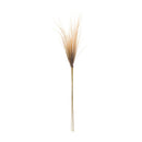 Melrose Grass Plume Bundle (Set of 2)